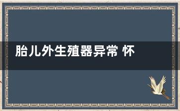 胎儿外生殖器异常 怀孕22周接触了郁金香会对胎儿有什么影响